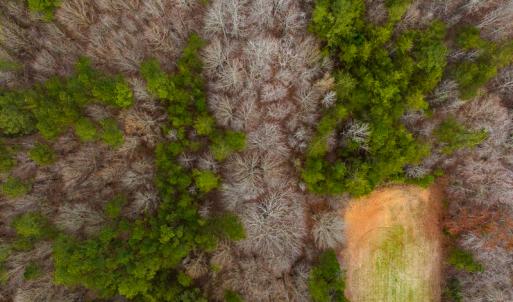 Photo #37 of SOLD property in Off Bowmantown Road, Roxboro, NC 49.5 acres