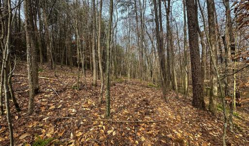 Photo #38 of SOLD property in Off Bowmantown Road, Roxboro, NC 49.5 acres