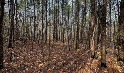 Photo #40 of SOLD property in Off Bowmantown Road, Roxboro, NC 49.5 acres