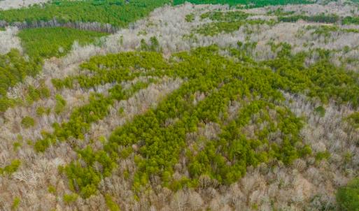 Photo #44 of SOLD property in Off Bowmantown Road, Roxboro, NC 49.5 acres