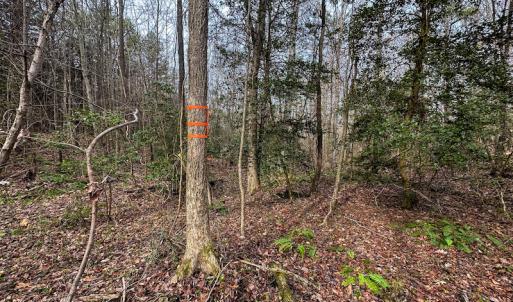 Photo #45 of SOLD property in Off Bowmantown Road, Roxboro, NC 49.5 acres