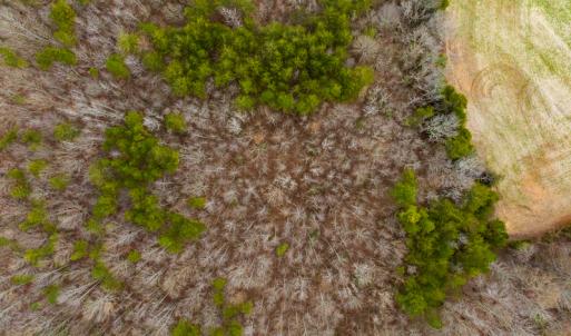 Photo #46 of SOLD property in Off Bowmantown Road, Roxboro, NC 49.5 acres