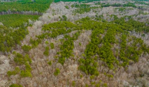 Photo #50 of SOLD property in Off Bowmantown Road, Roxboro, NC 49.5 acres