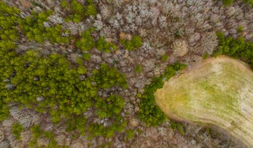 Photo #51 of SOLD property in Off Bowmantown Road, Roxboro, NC 49.5 acres