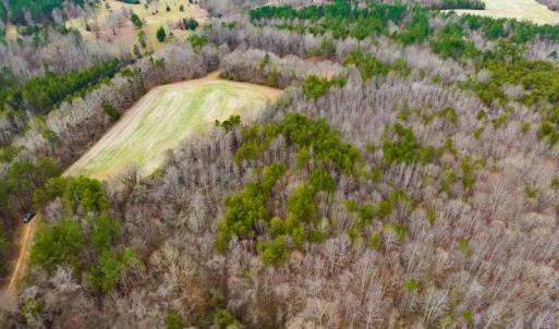 Photo #6 of SOLD property in Off Bowmantown Road, Roxboro, NC 49.5 acres