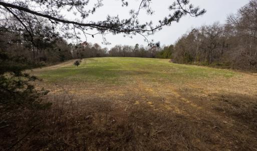 Photo #7 of SOLD property in Off Bowmantown Road, Roxboro, NC 49.5 acres