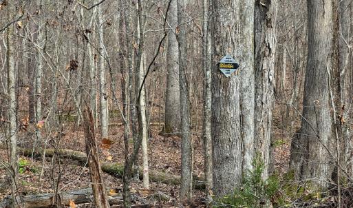 Photo #9 of SOLD property in Off Bowmantown Road, Roxboro, NC 49.5 acres