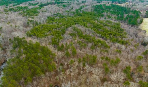 Photo #11 of SOLD property in Off Bowmantown Road, Roxboro, NC 49.5 acres