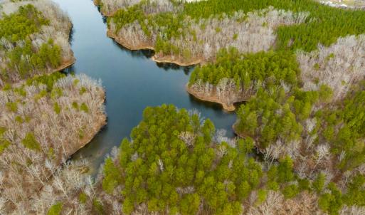 Photo #13 of SOLD property in Off Bowmantown Road, Roxboro, NC 49.5 acres