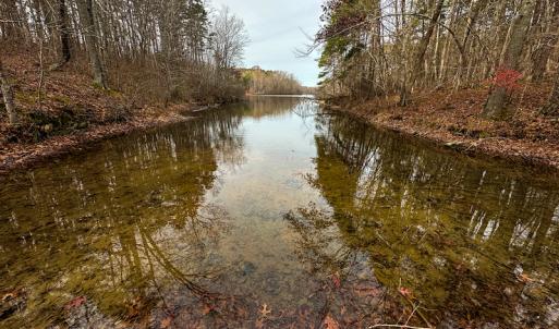 Photo #15 of SOLD property in Off Bowmantown Road, Roxboro, NC 49.5 acres