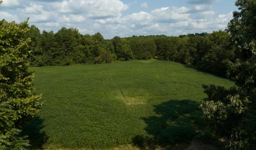 Photo #17 of SOLD property in Off Bowmantown Road, Roxboro, NC 49.5 acres