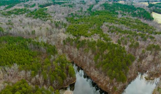 Photo #20 of SOLD property in Off Bowmantown Road, Roxboro, NC 49.5 acres