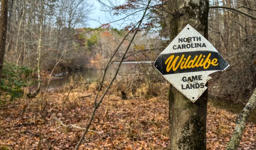 Photo #21 of SOLD property in Off Bowmantown Road, Roxboro, NC 49.5 acres