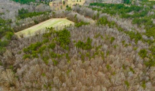 Photo #22 of SOLD property in Off Bowmantown Road, Roxboro, NC 49.5 acres