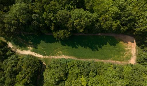 Photo #25 of SOLD property in Off Bowmantown Road, Roxboro, NC 49.5 acres