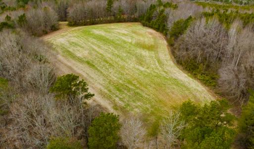 Photo #29 of SOLD property in Off Bowmantown Road, Roxboro, NC 49.5 acres