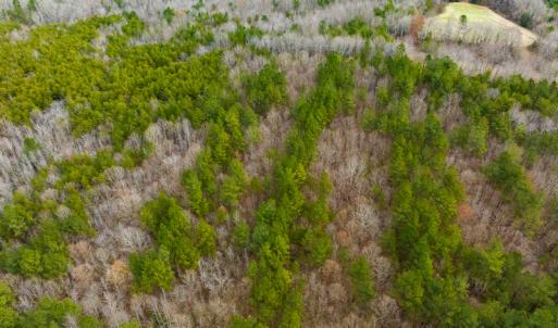 Photo #30 of SOLD property in Off Bowmantown Road, Roxboro, NC 49.5 acres