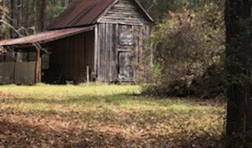 Photo #6 of SOLD property in Off Hwy 701 N, Harrells, NC 62.0 acres