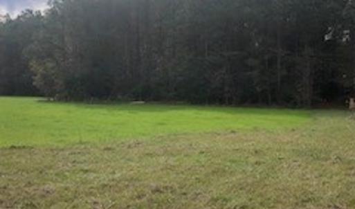 Photo #2 of SOLD property in Off Hwy 701 N, Harrells, NC 62.0 acres