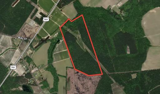 Photo #1 of SOLD property in Off Hwy 701 N, Harrells, NC 62.0 acres