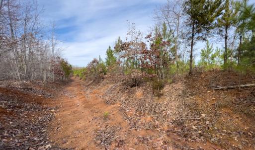 Photo #11 of SOLD property in Off Derby Road, Gretna, VA 123.1 acres
