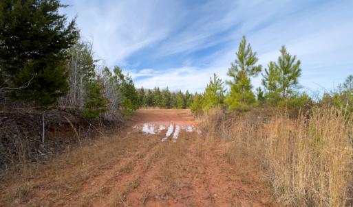 Photo #12 of SOLD property in Off Derby Road, Gretna, VA 123.1 acres