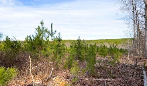 Photo #13 of SOLD property in Off Derby Road, Gretna, VA 123.1 acres