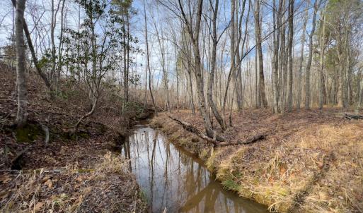 Photo #14 of SOLD property in Off Derby Road, Gretna, VA 123.1 acres