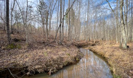 Photo #15 of SOLD property in Off Derby Road, Gretna, VA 123.1 acres