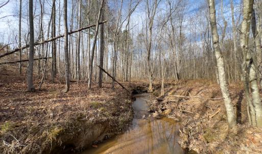 Photo #16 of SOLD property in Off Derby Road, Gretna, VA 123.1 acres
