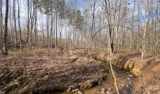 Photo #17 of SOLD property in Off Derby Road, Gretna, VA 123.1 acres