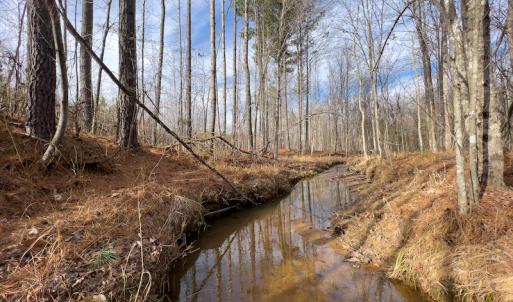 Photo #18 of SOLD property in Off Derby Road, Gretna, VA 123.1 acres