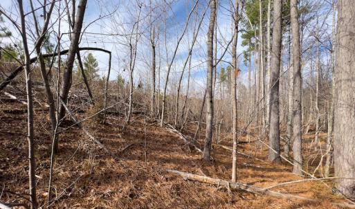 Photo #19 of SOLD property in Off Derby Road, Gretna, VA 123.1 acres