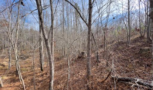 Photo #20 of SOLD property in Off Derby Road, Gretna, VA 123.1 acres
