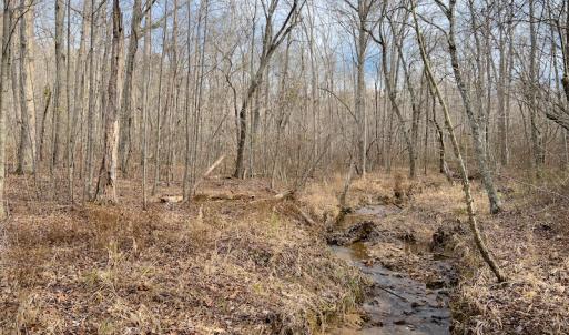 Photo #21 of SOLD property in Off Derby Road, Gretna, VA 123.1 acres