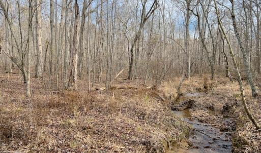 Photo #22 of SOLD property in Off Derby Road, Gretna, VA 123.1 acres
