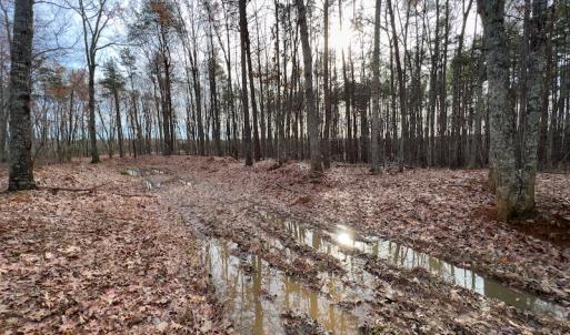 Photo #25 of SOLD property in Off Derby Road, Gretna, VA 123.1 acres