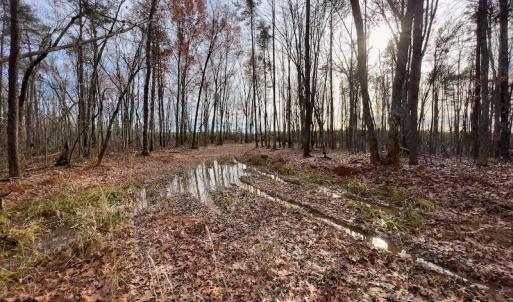Photo #26 of SOLD property in Off Derby Road, Gretna, VA 123.1 acres