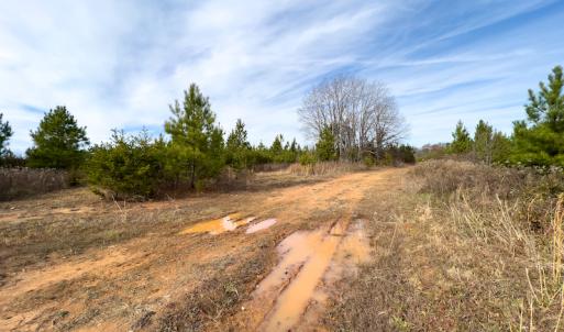 Photo #4 of SOLD property in Off Derby Road, Gretna, VA 123.1 acres