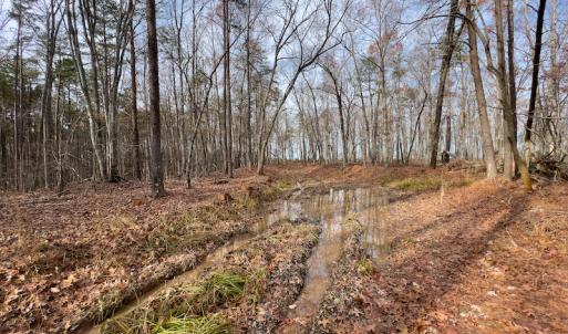 Photo #33 of SOLD property in Off Derby Road, Gretna, VA 123.1 acres