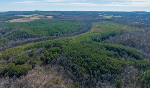 Photo #36 of SOLD property in Off Derby Road, Gretna, VA 123.1 acres