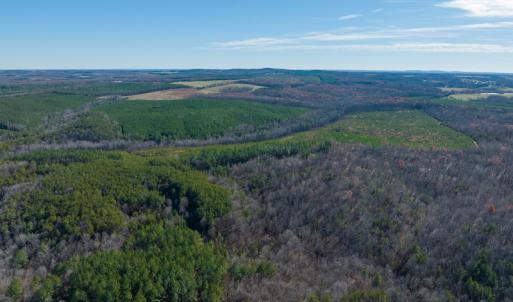 Photo #37 of SOLD property in Off Derby Road, Gretna, VA 123.1 acres