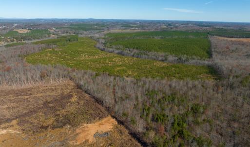 Photo #40 of SOLD property in Off Derby Road, Gretna, VA 123.1 acres