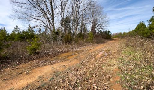 Photo #5 of SOLD property in Off Derby Road, Gretna, VA 123.1 acres