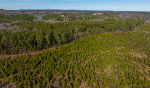 Photo #46 of SOLD property in Off Derby Road, Gretna, VA 123.1 acres