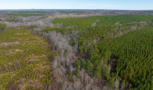 Photo #48 of SOLD property in Off Derby Road, Gretna, VA 123.1 acres