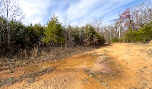 Photo #6 of SOLD property in Off Derby Road, Gretna, VA 123.1 acres