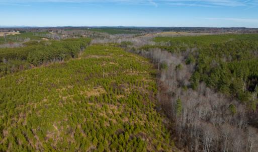 Photo #49 of SOLD property in Off Derby Road, Gretna, VA 123.1 acres