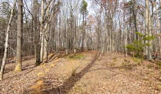 Photo #7 of SOLD property in Off Derby Road, Gretna, VA 123.1 acres