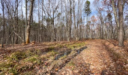 Photo #8 of SOLD property in Off Derby Road, Gretna, VA 123.1 acres